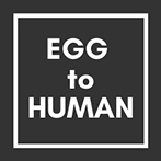 logo egg to human